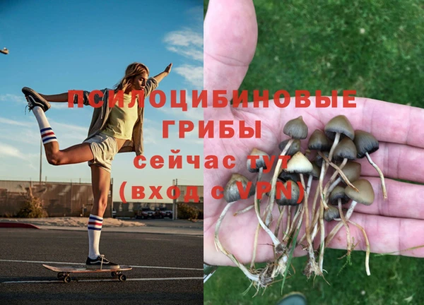 Альфа ПВП Алексин