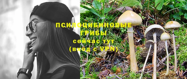соль курить ск Алексеевка