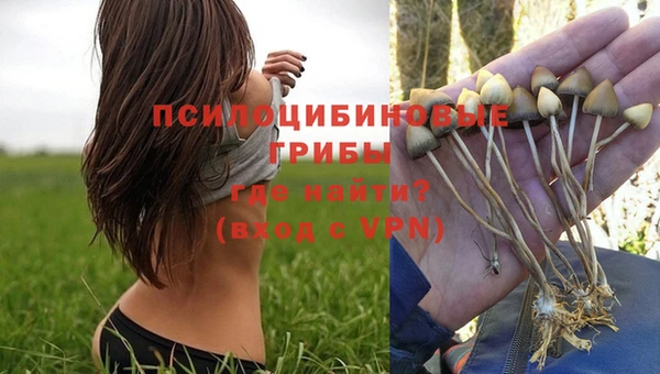 кокаин перу Алзамай