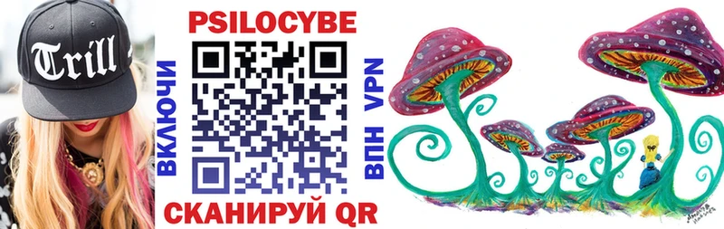 Псилоцибиновые грибы Psilocybe  Бронницы 